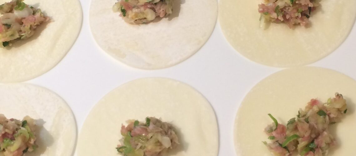 Teigtaschen füllen: Sechs Dumpling-Wrapper liegen auf hellem Hintergrund. Sie sind jeweils mit einer japanischen Garnelen-Gemüse-Mischung belegt und bereit, um gefaltet zu werden.